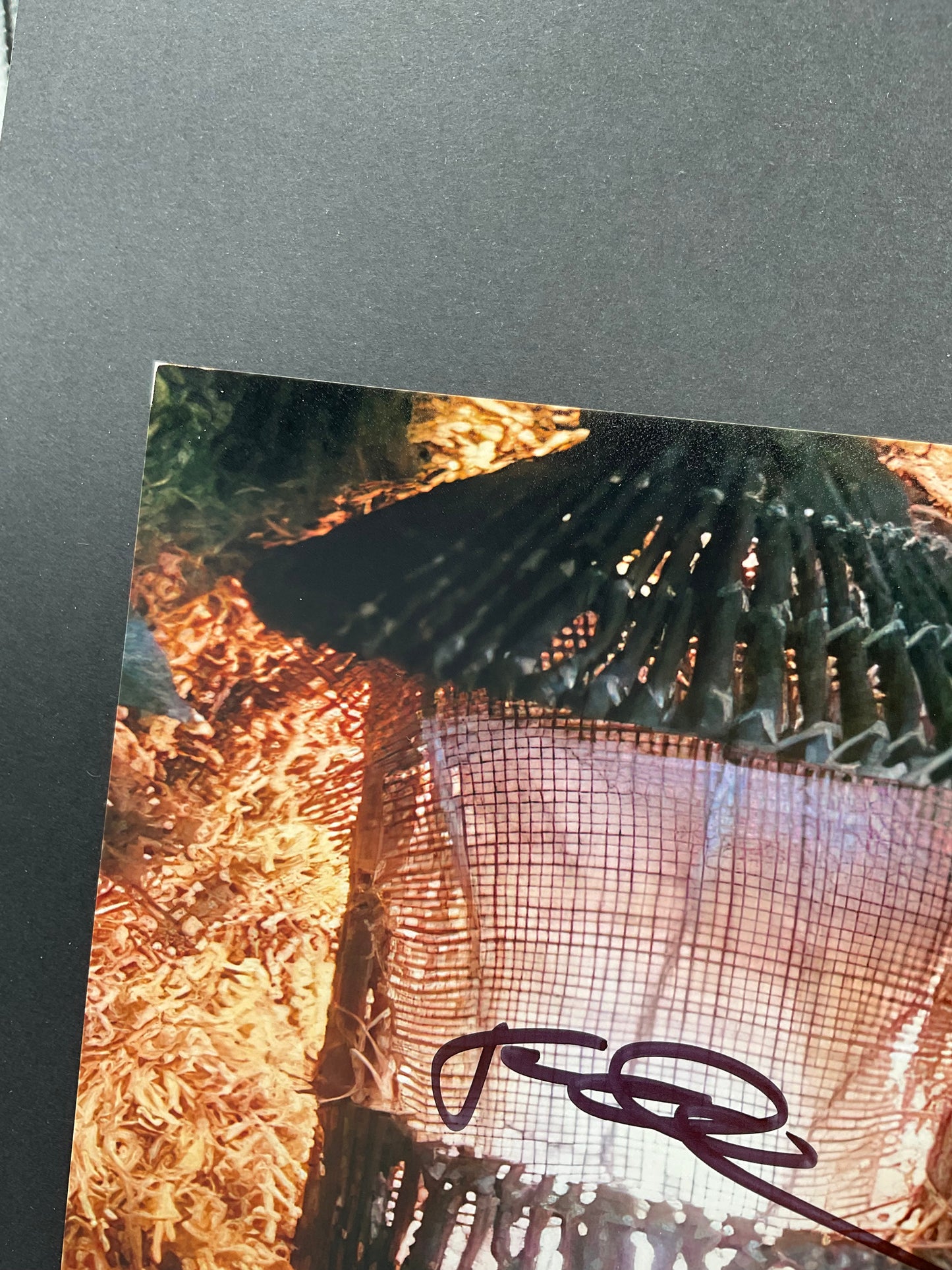 Thomas Tulak Hook signed 8x10 ACOA