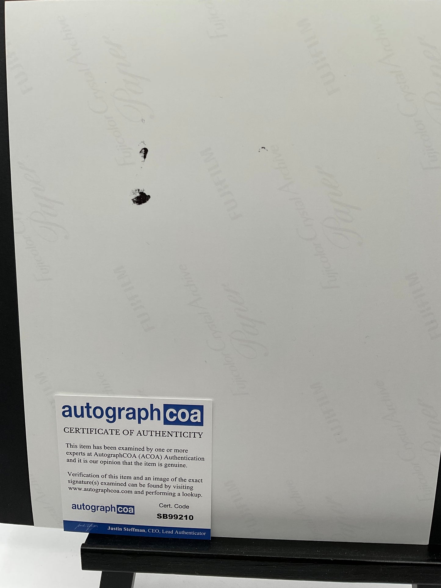 Chris O'Dowd Epic signed 8x10 ACOA animated Snail
