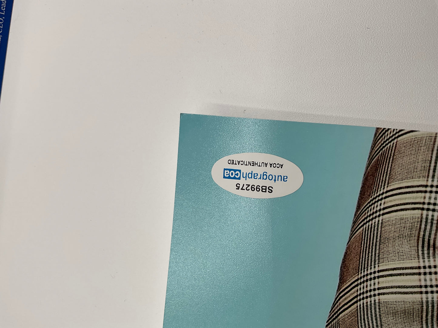 Ayo Edebiri Sexy photo shoot signed 8x10 ACOA