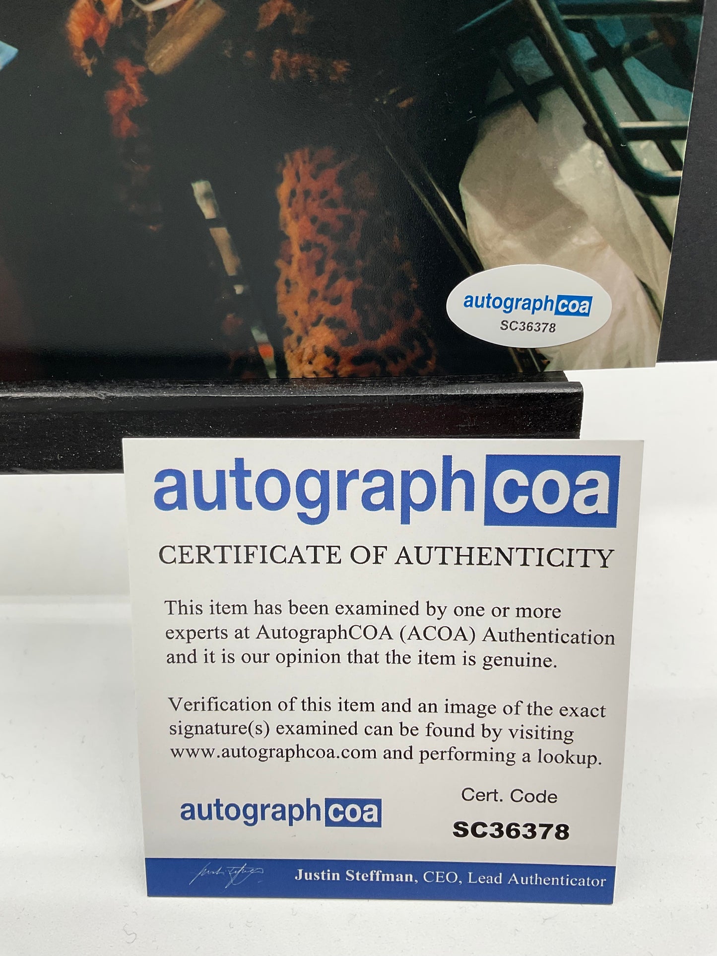 Edy Modica Jury Duty signed photo 8x10 ACOA