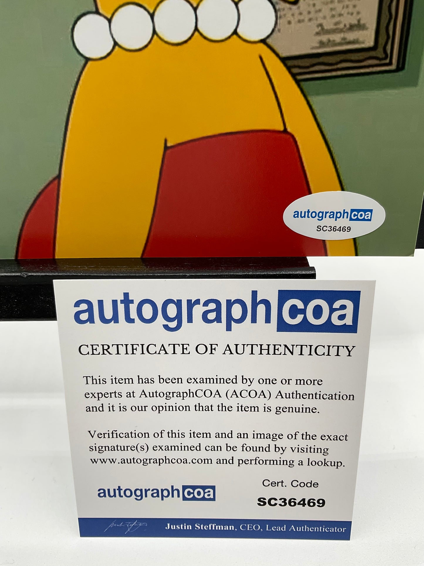 Renee Ridgeley The Simpsons Uniboob signed photo 8x10 ACOA