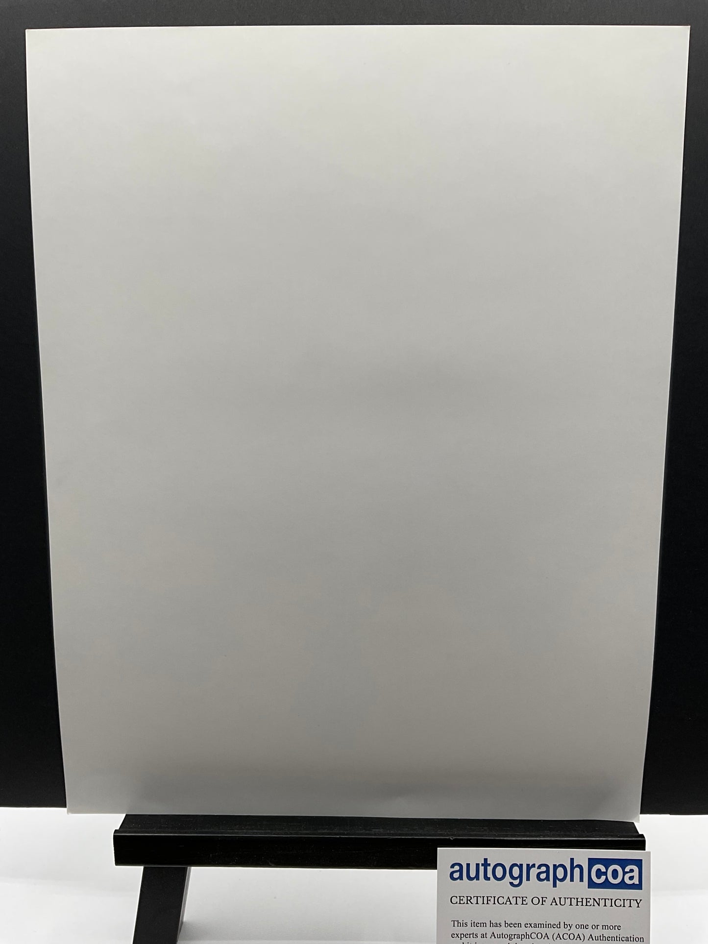 Matt Selman The Simpsons signed Sketch Homer Simpson ACOA