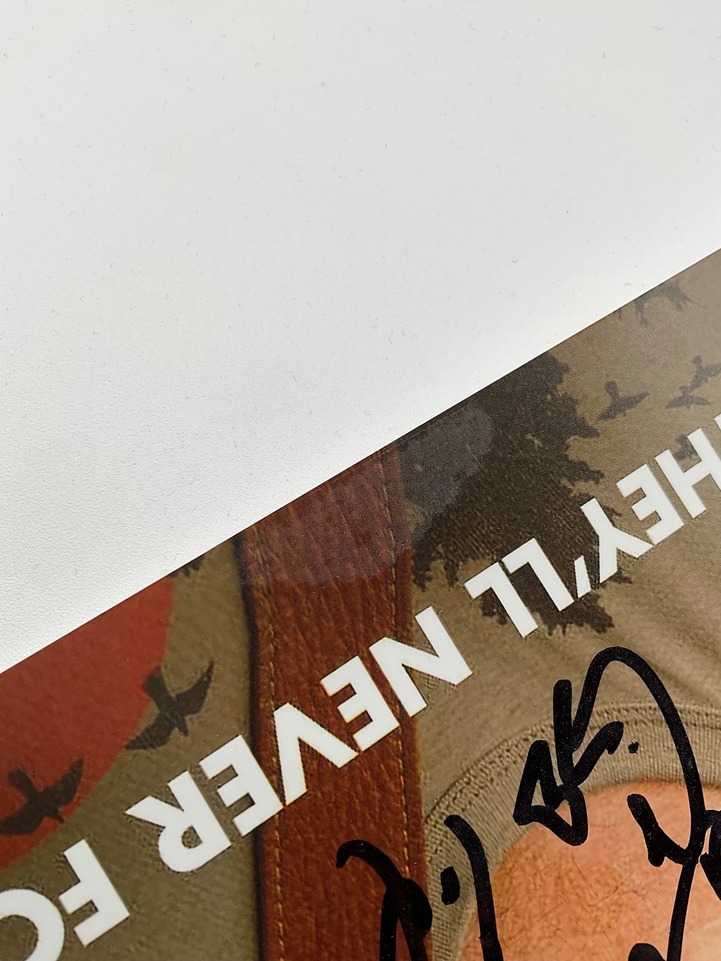 Zach Galifianakis Hangover signed 11x14 Beckett Rare!!