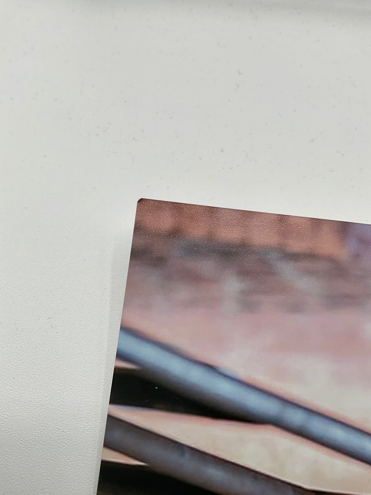 Cailee Spaeny Civil War signed photo 8x10 Beckett