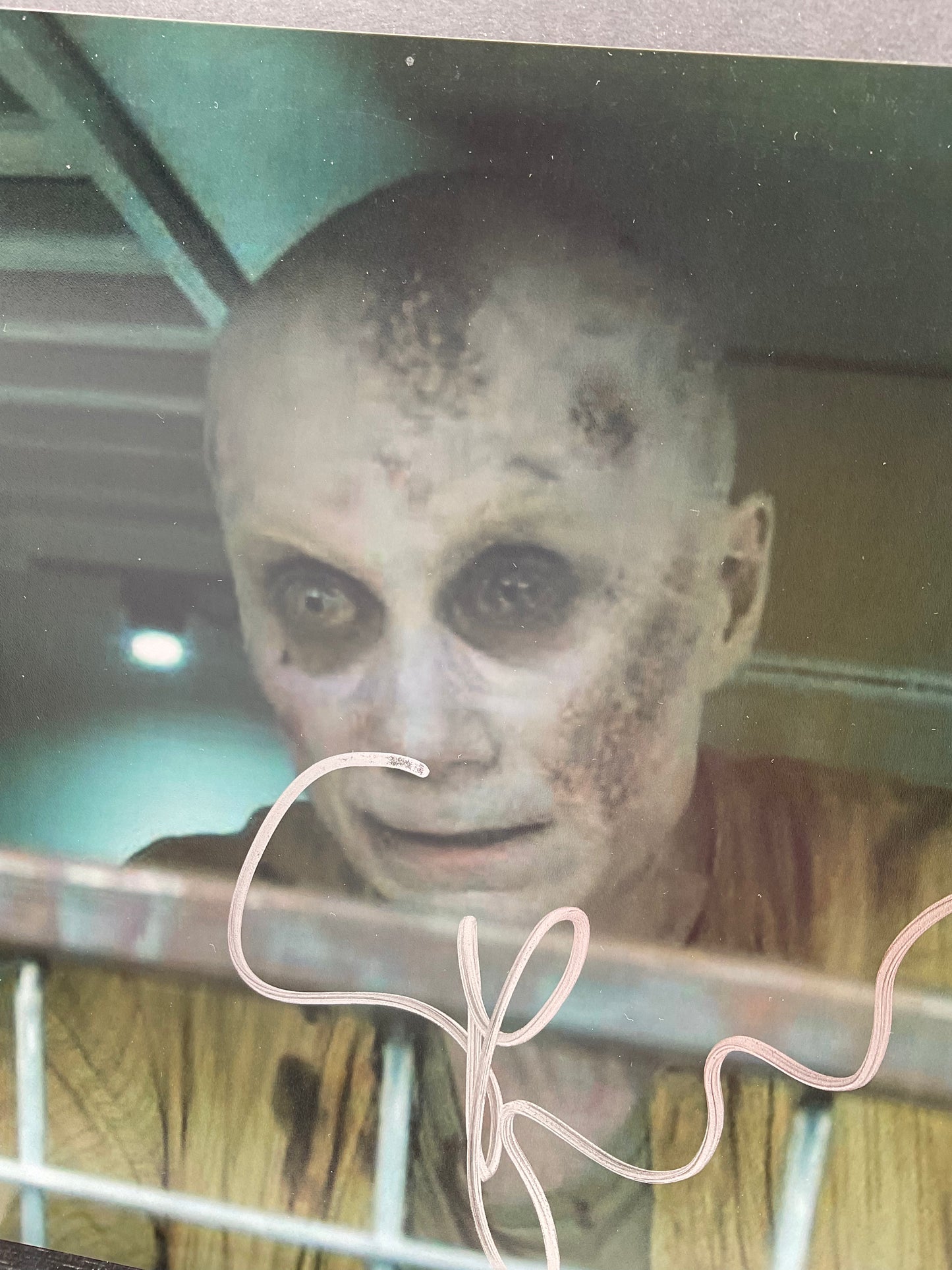 Stephen Merchant Logan signed photo 8x10 ACOA
