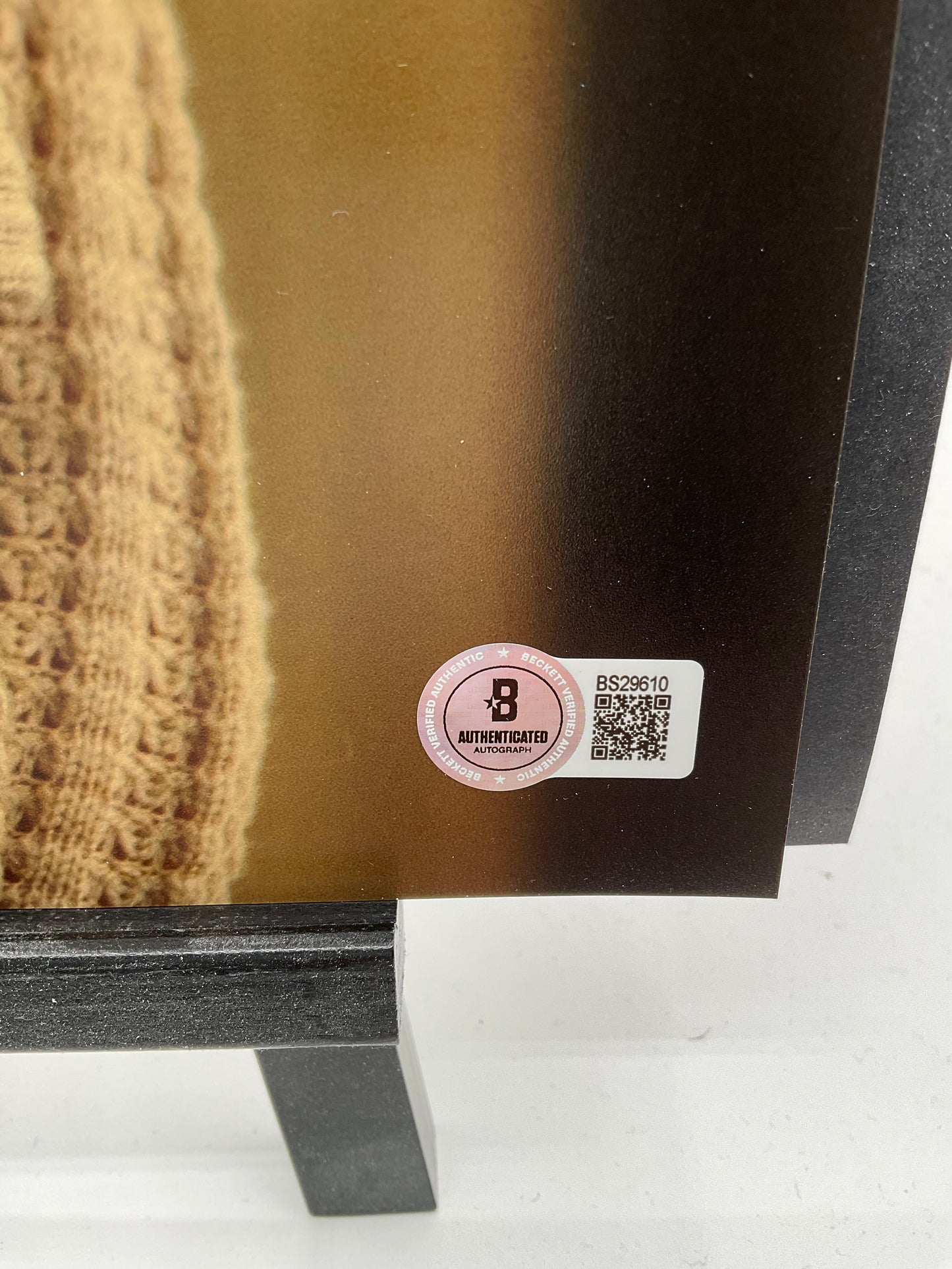 Anna Kendrick Pitch Perfect signed photo 11x14 Beckett