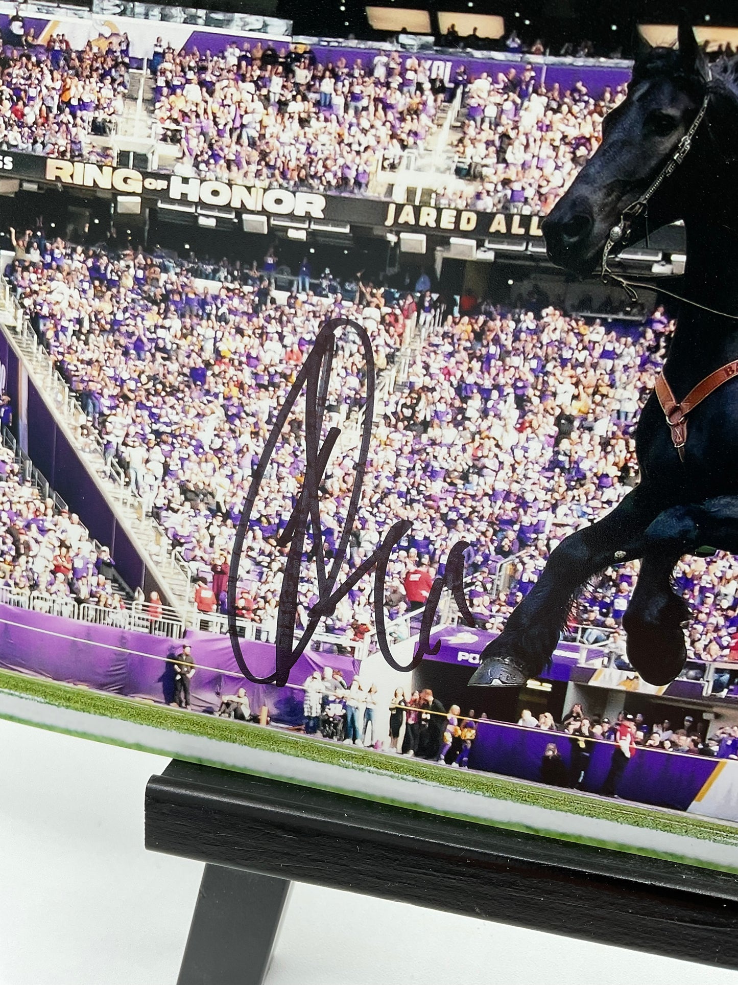 Jared Allen Minnesota Vikings signed photo 8x10 ACOA NFL