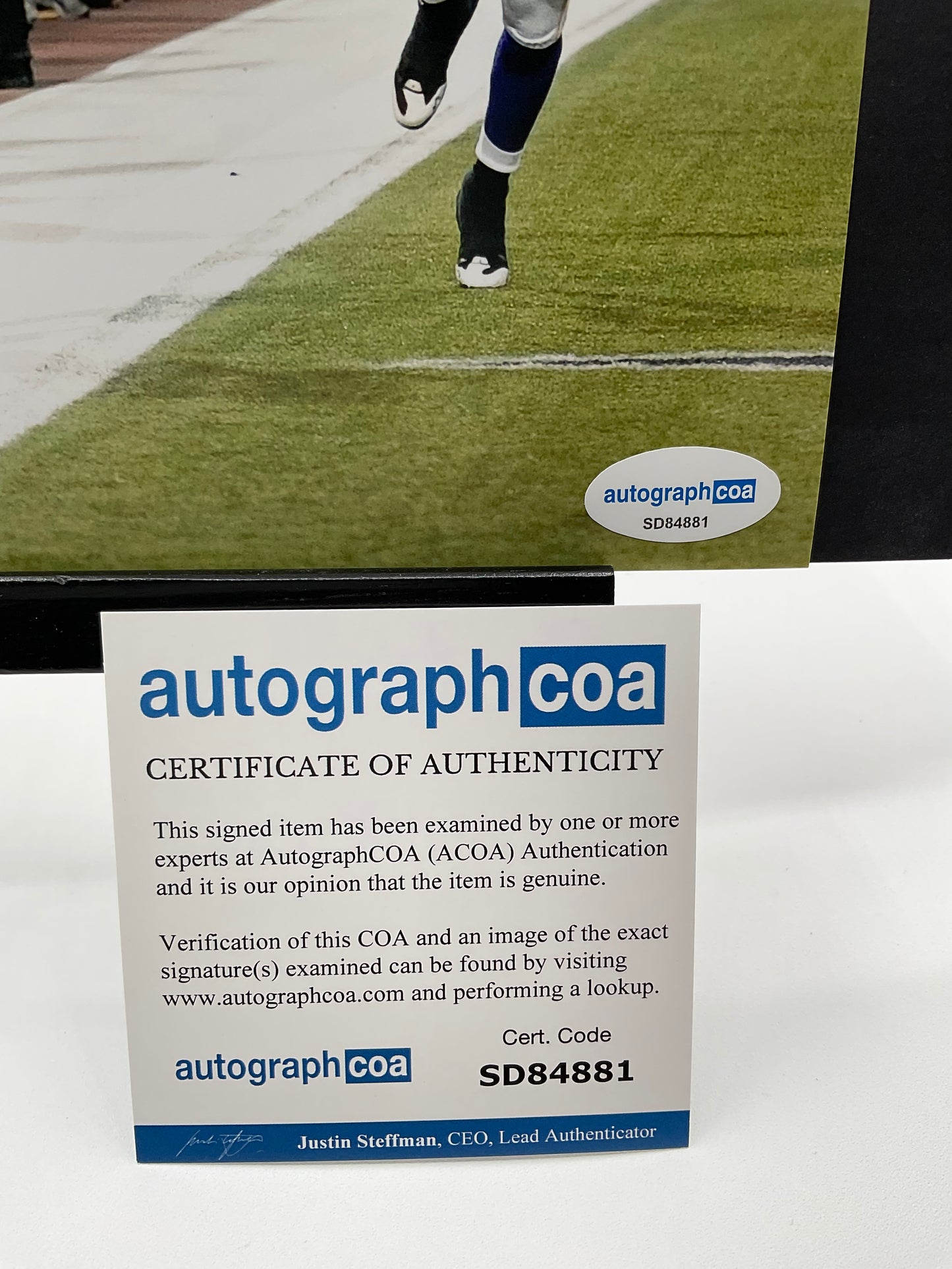 Dan Orlovsky Detroit Lions signed photo 8x10 ACOA NFL