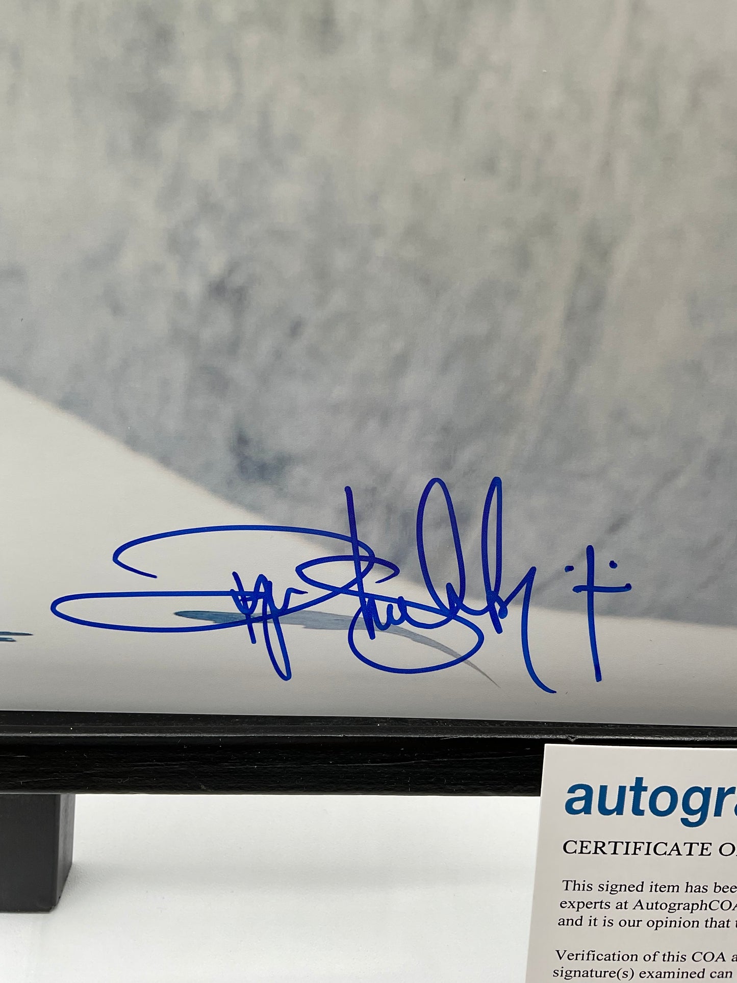 Ryan Sheckler Skateboarding signed photo 8x10 ACOA