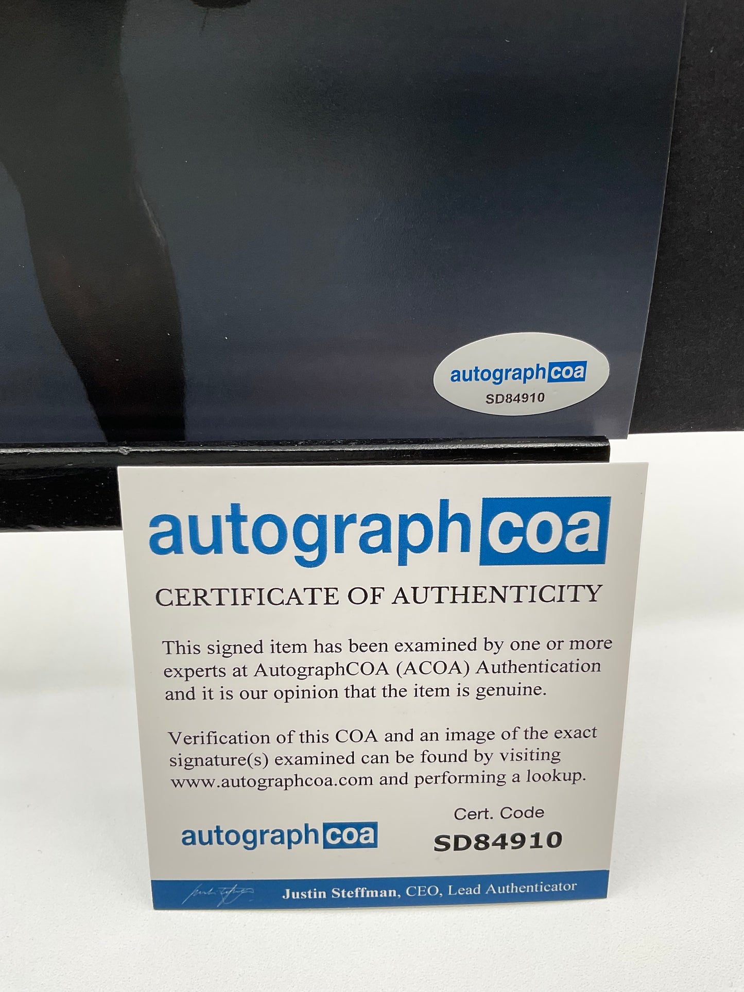 Aljamain Sterling UFC signed photo 8x10 ACOA MMA