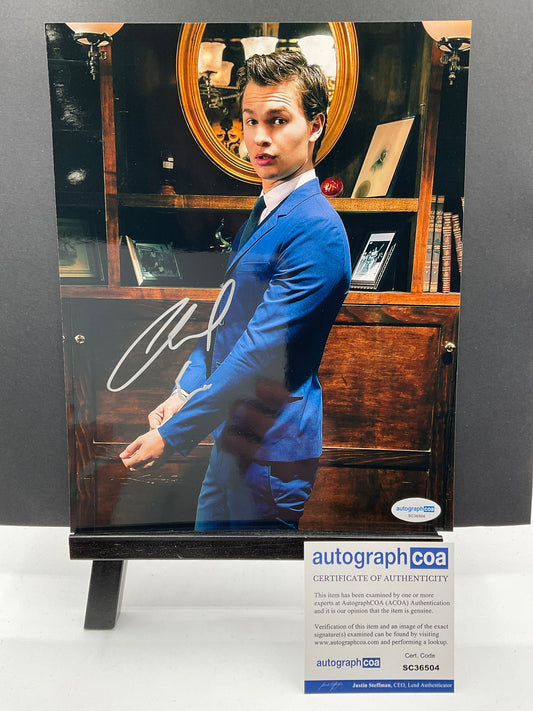 Ansel Elgort Photo Shoot signed photo 8x10 ACOA