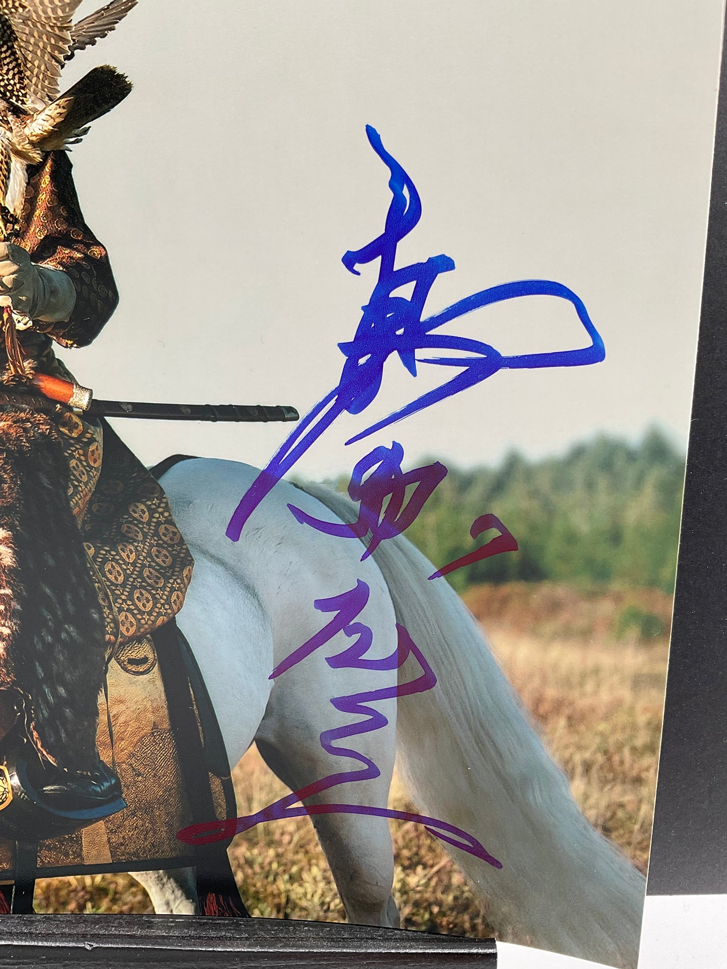 Hiroyuki Sanada signed photo Shogun 8x10 Beckett Yoshii