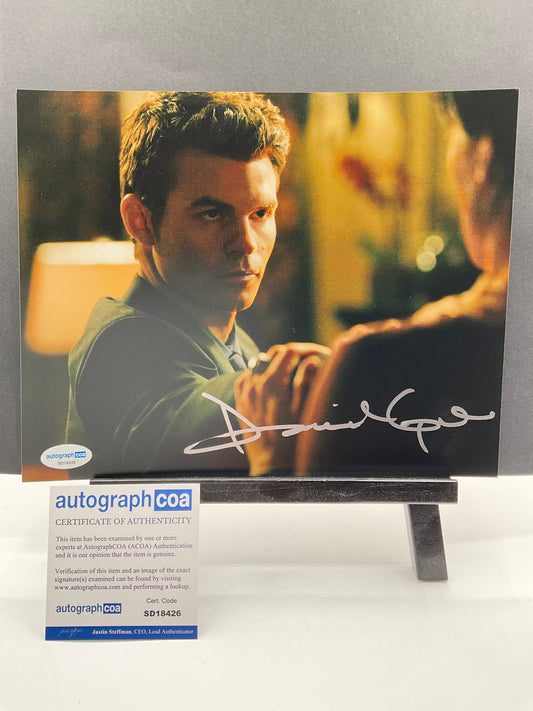 Daniel Gillies Vampire Diaries signed photo 8x10 ACOA