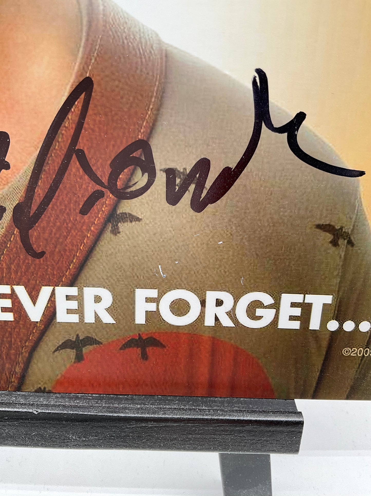 Zach Galifianakis Hangover signed 11x14 Beckett Rare!!