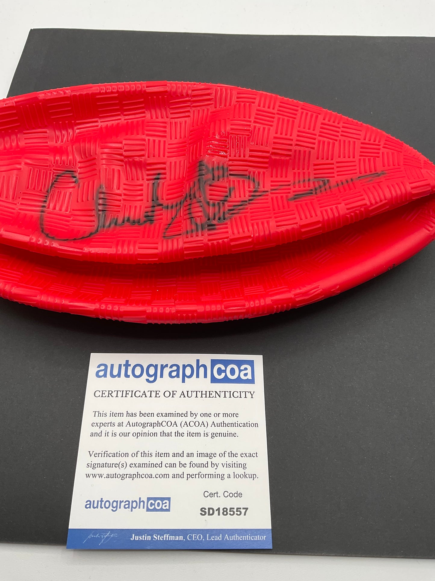 Christine Taylor Dodgeball signed ball ACOA Prop