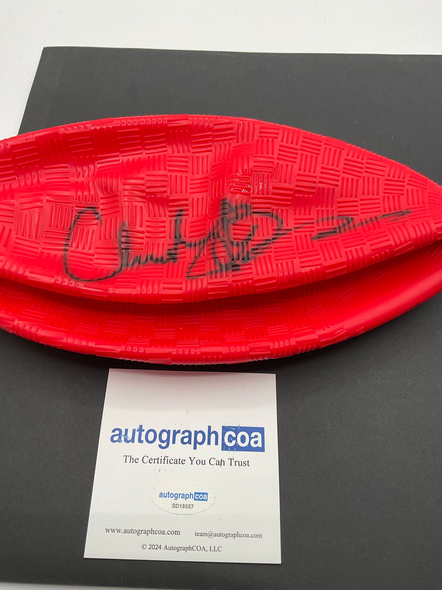 Christine Taylor Dodgeball signed ball ACOA Prop