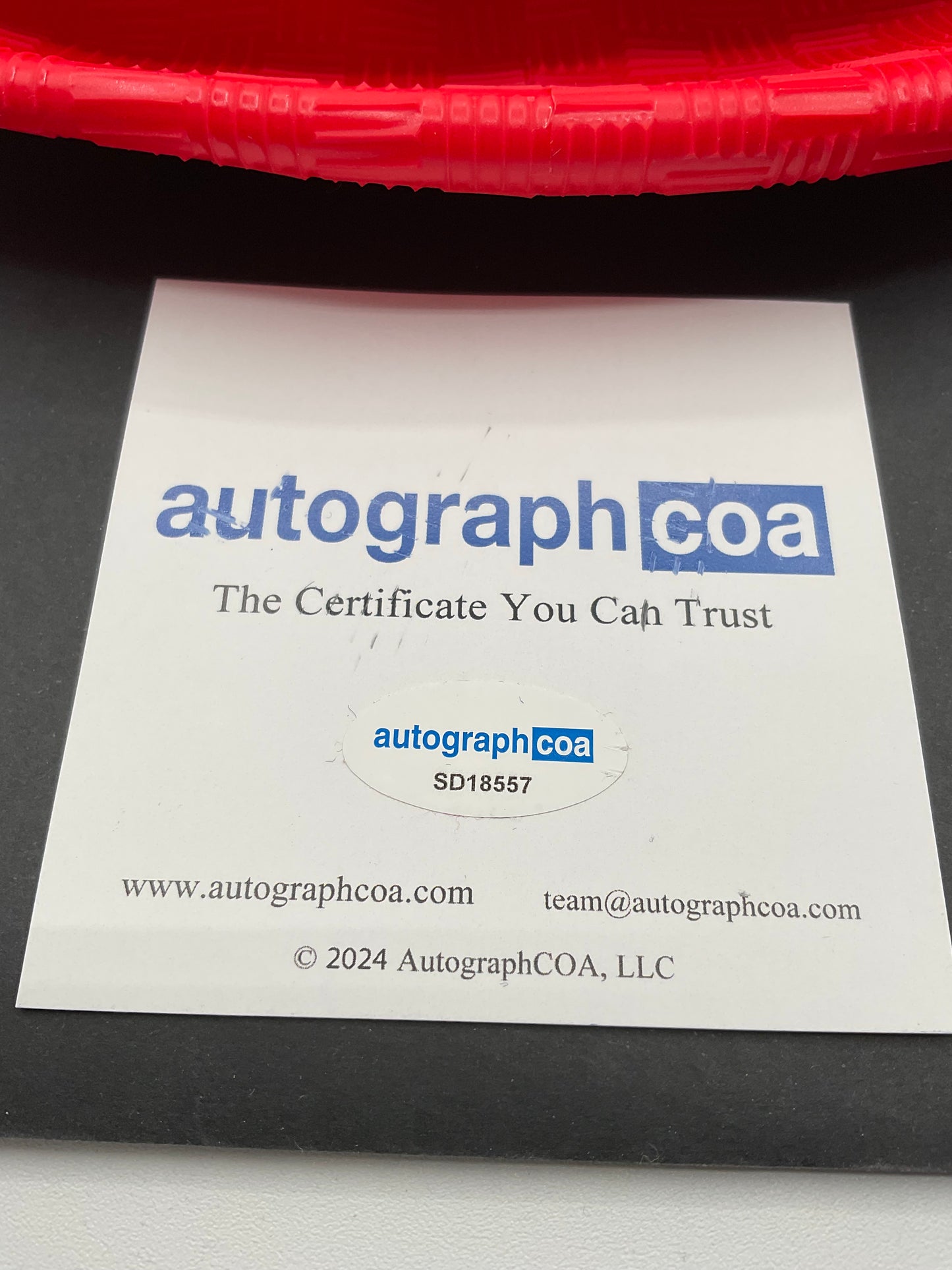 Christine Taylor Dodgeball signed ball ACOA Prop