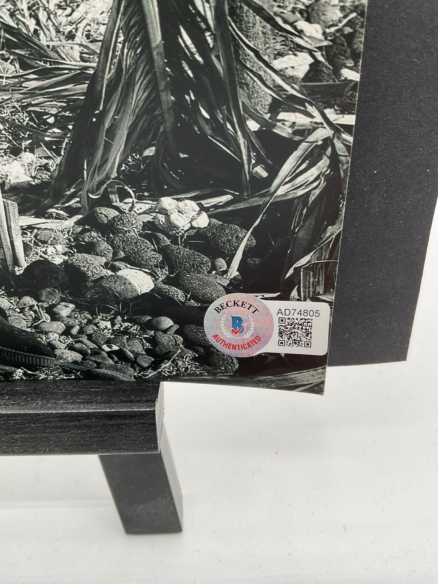 Billy Gibbons ZZ Top signed photo 8x10 Beckett