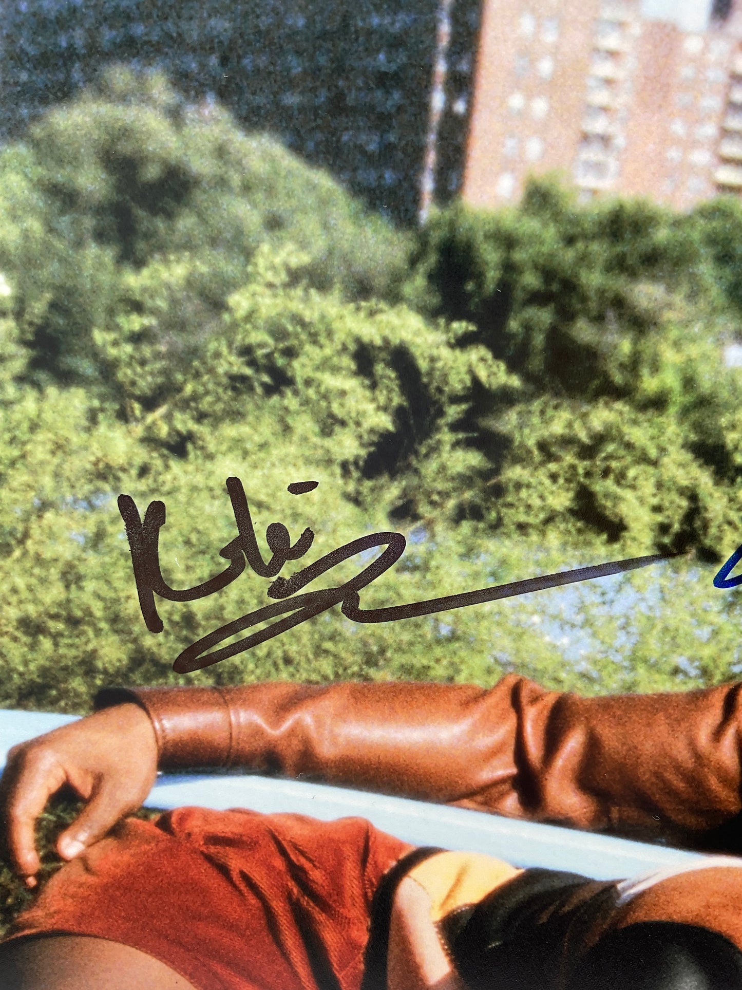 Kiki Layne If Beale Street Could Talk signed photo Stephan James signed photo ACOA