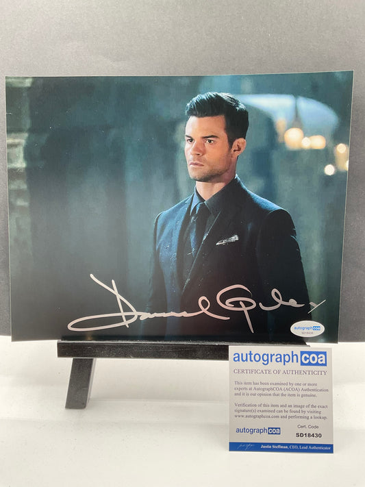 Daniel Gillies The Originals signed photo 8x10 ACOA