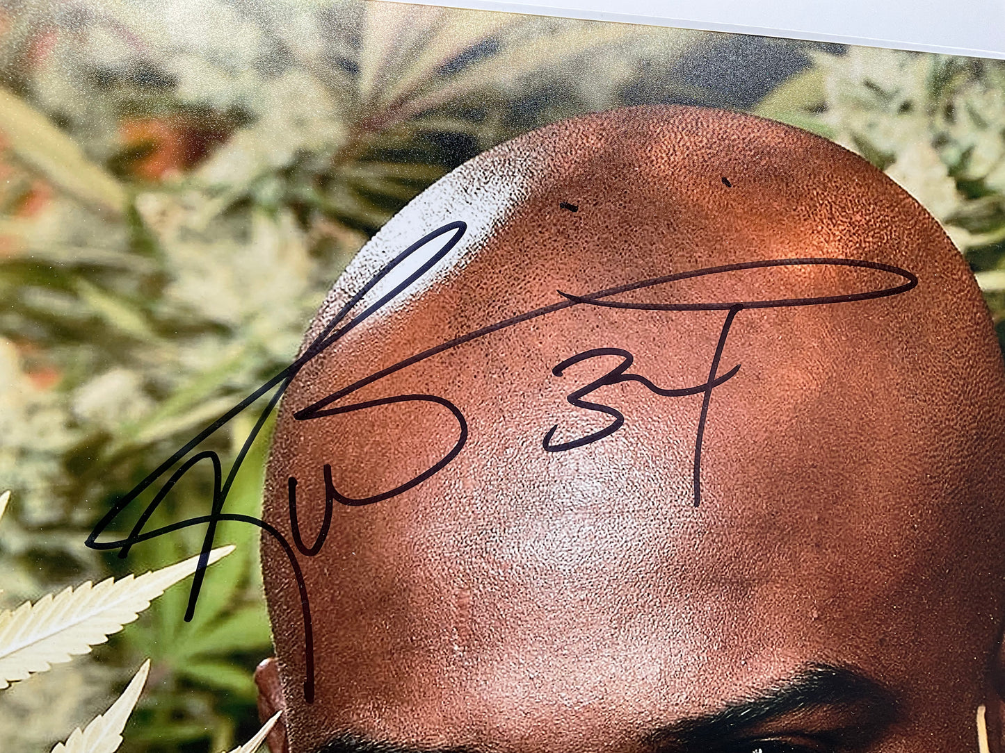 Ricky Williams Texas signed photo Weed Miami 420 11x14 ACOA NFL