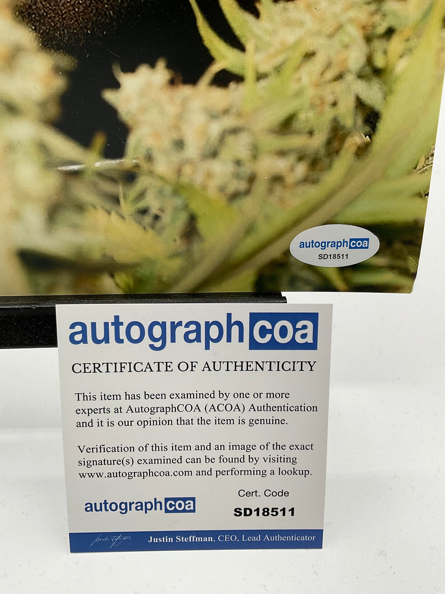Ricky Williams Texas signed photo Weed Miami 420 11x14 ACOA NFL