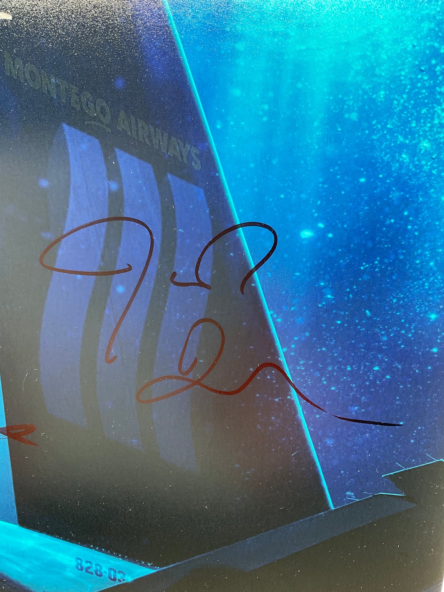 Manifest signed photo Cast 11x14 ACOA Josh Dallas, Parveen Kaur