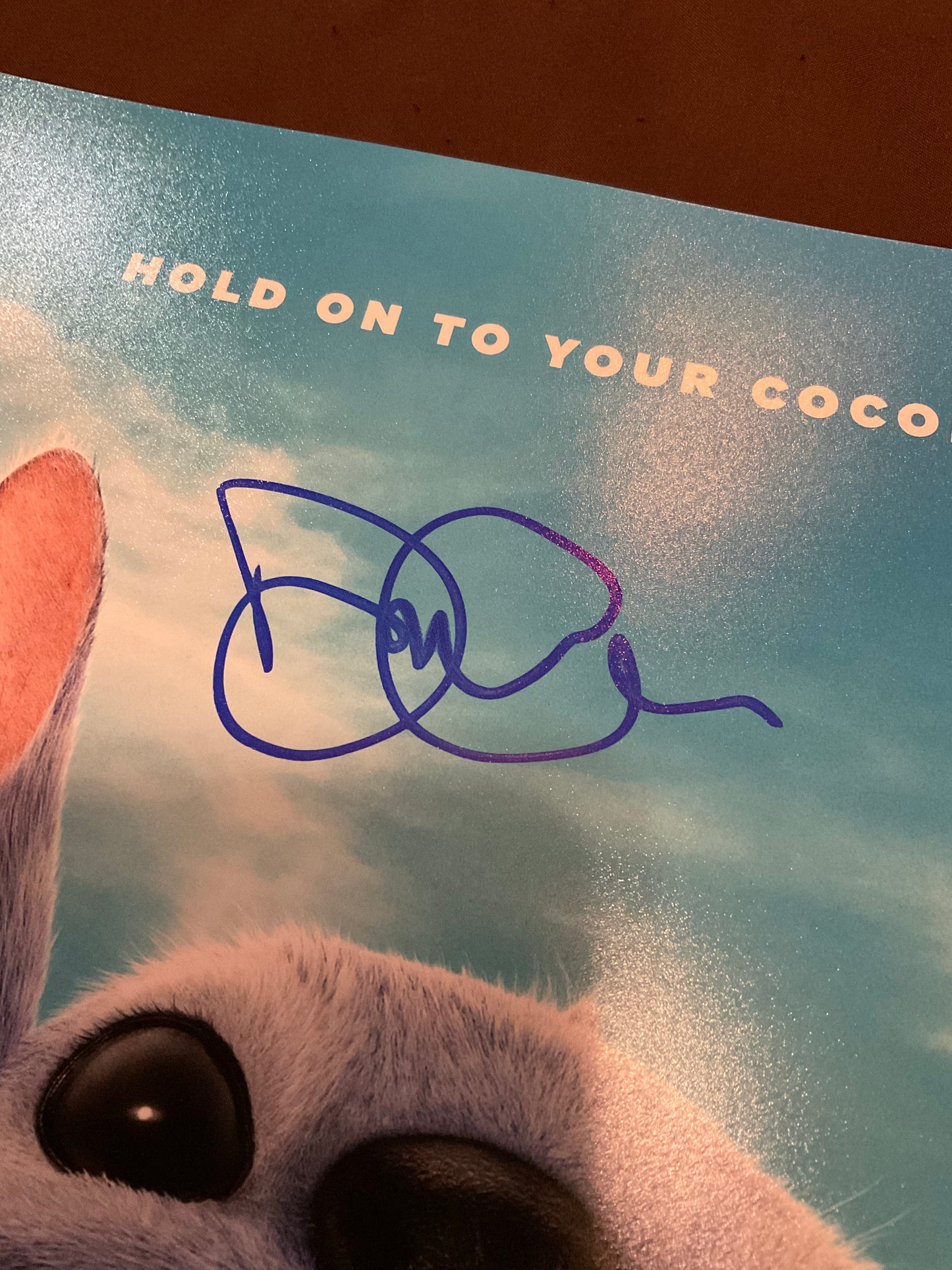 Dean Fleischer Camp Lilo and Stitch signed 12x18 Photo Beckett