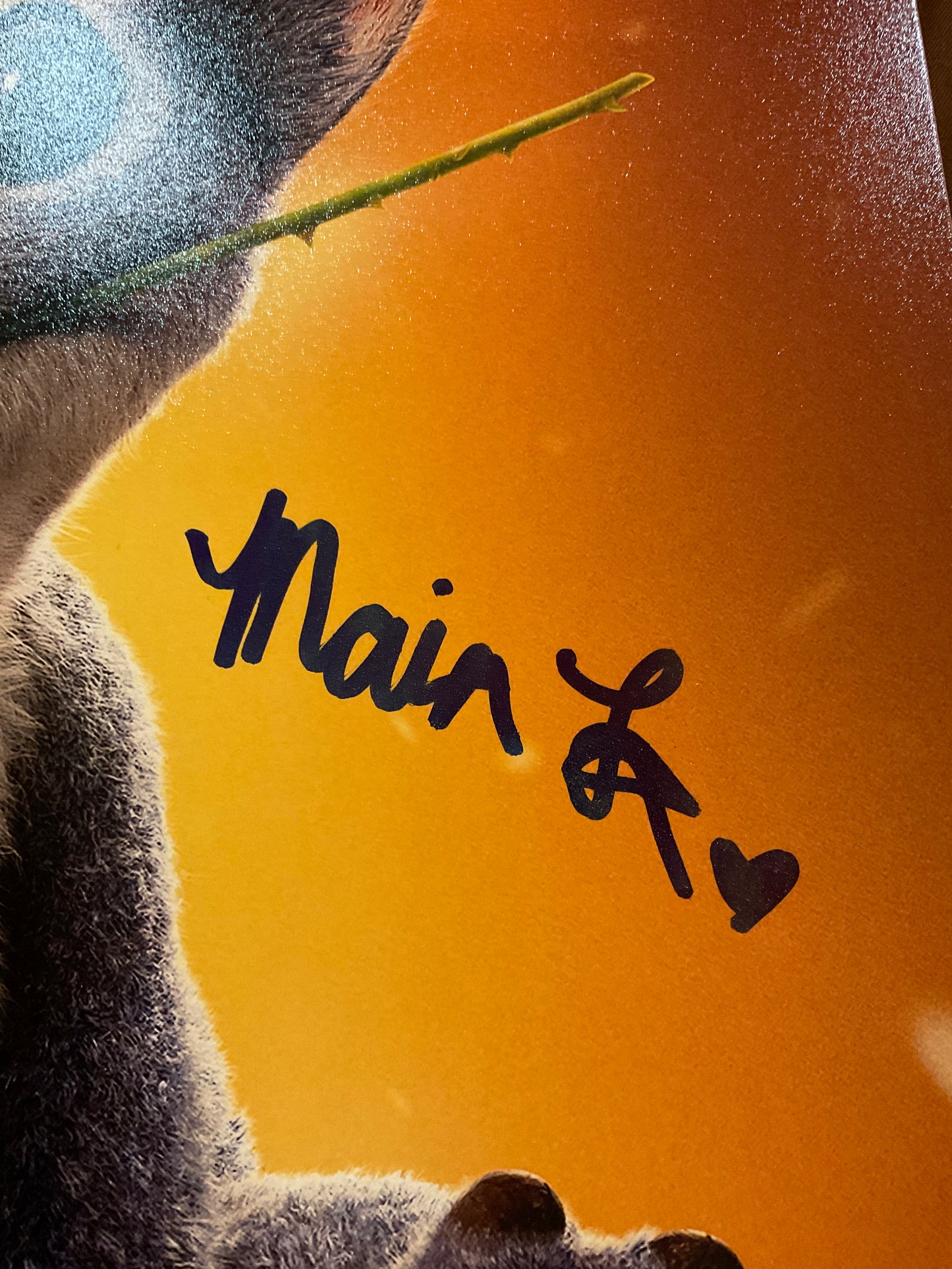Lilo and Stitch signed 12x18 Photo Maia Kealoha and Dean Fleischer Camp auto Beckett