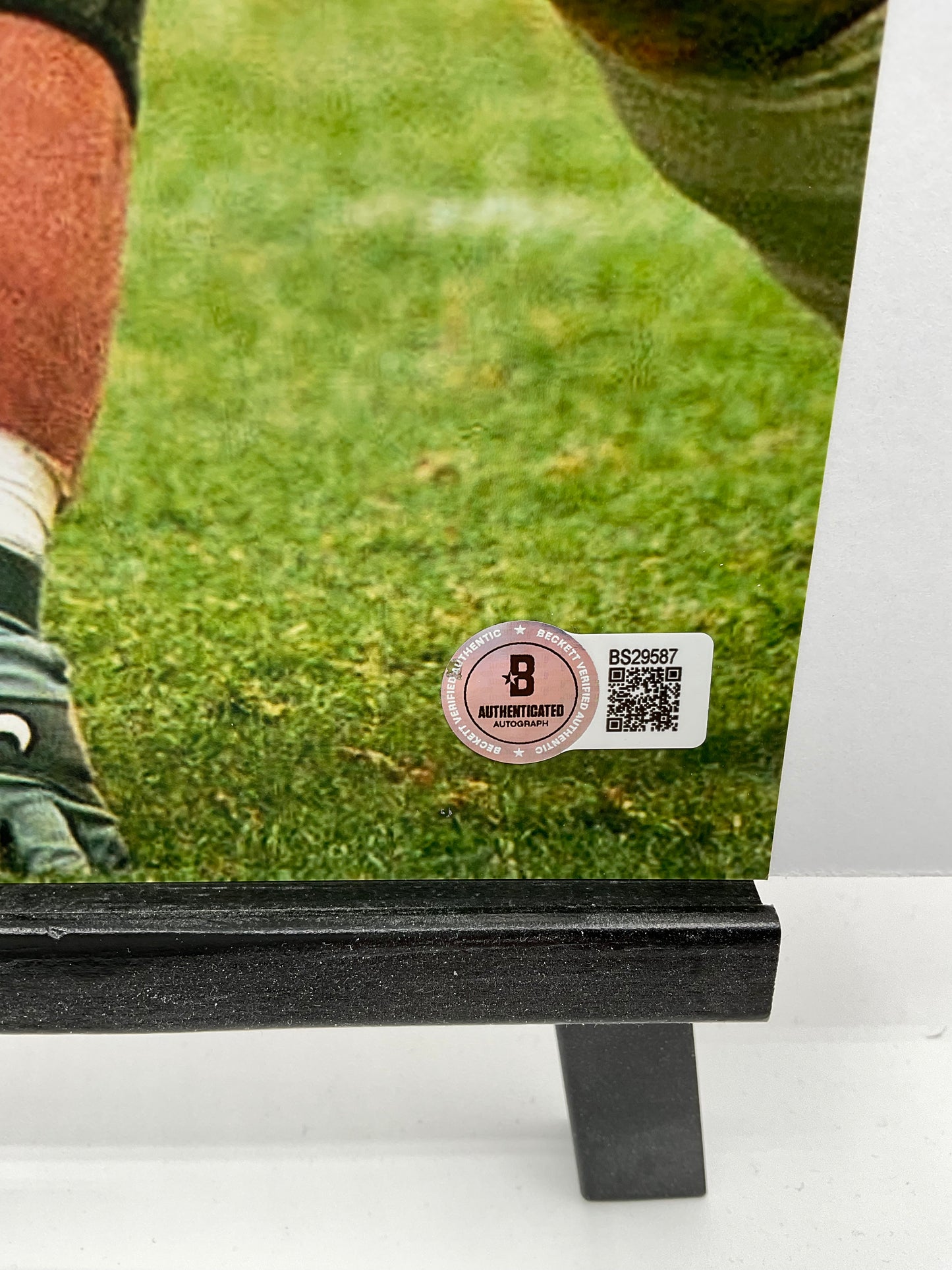 Steve Hutchinson Michigan Wolverines signed photo 8x10 Beckett