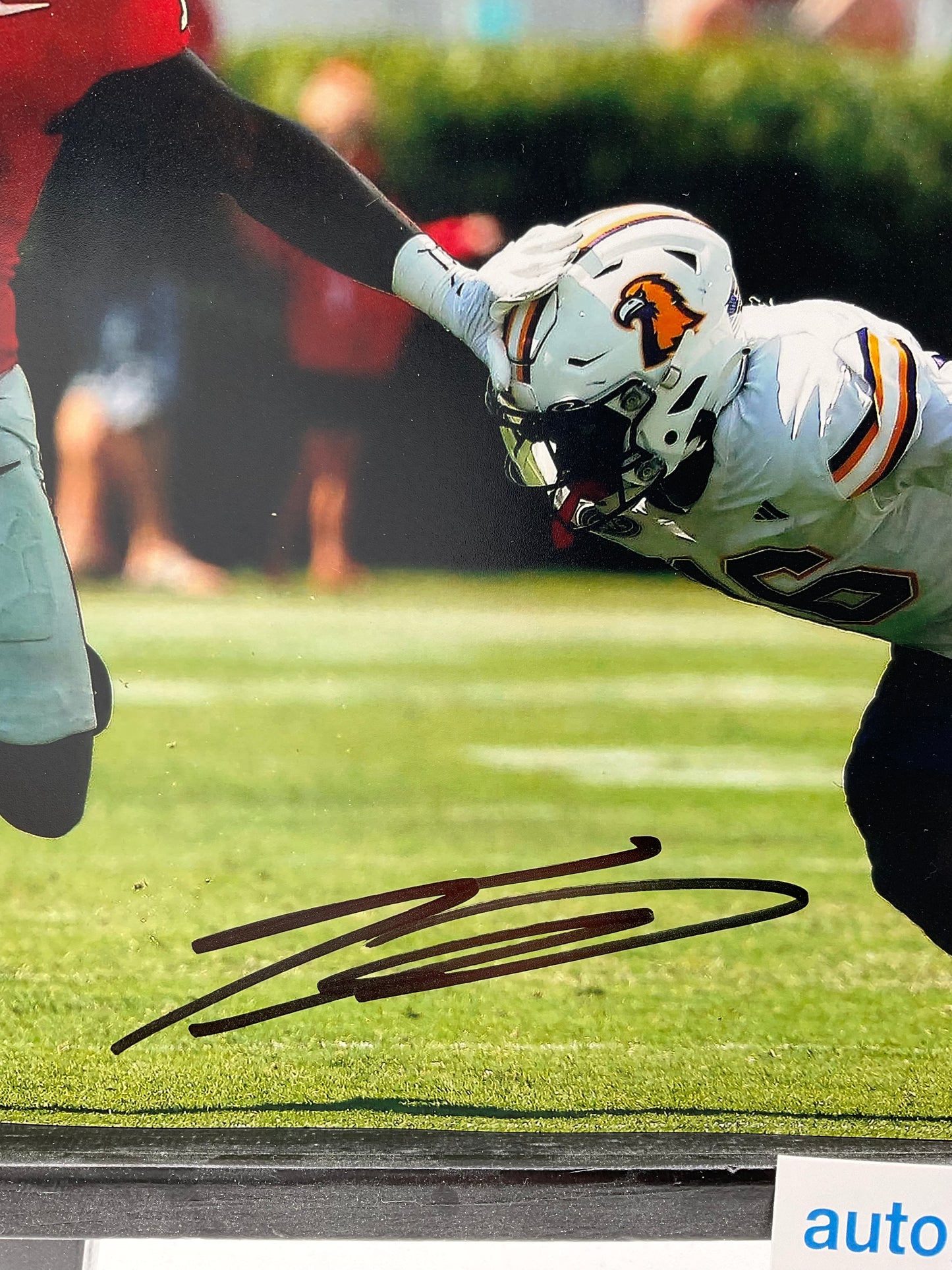 Trevor Etienne Georgia signed photo 8x10 ACOA NFL Carolina Panthers