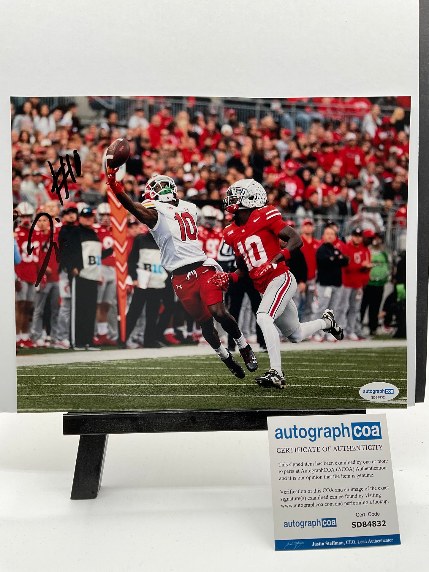 Tai Felton Maryland Terps signed photo 8x10 ACOA NFL MN Vikings