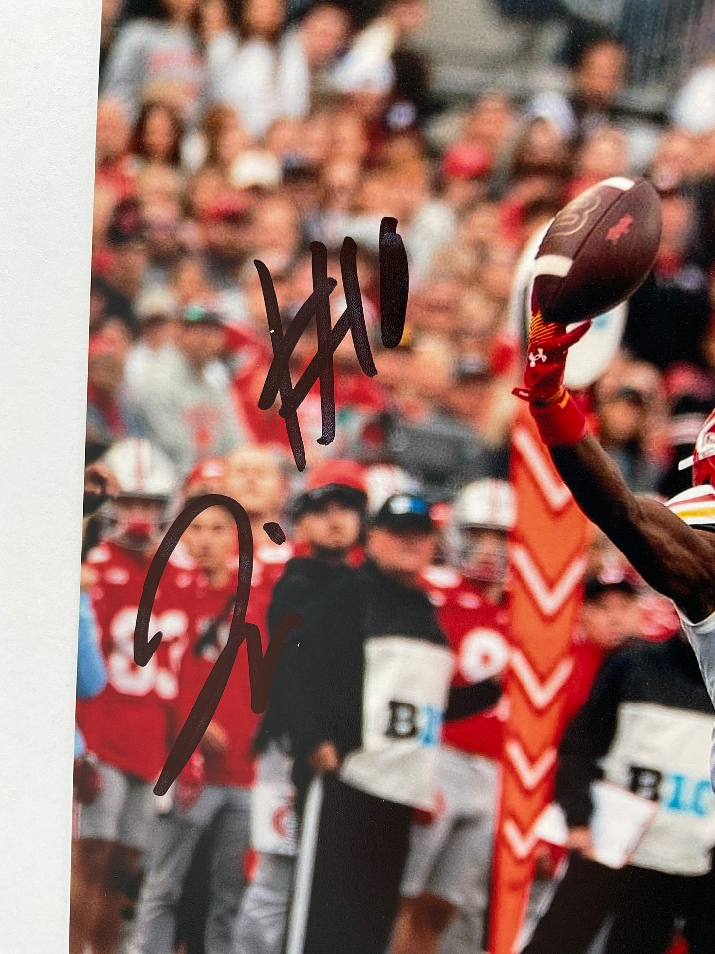 Tai Felton Maryland Terps signed photo 8x10 ACOA NFL MN Vikings