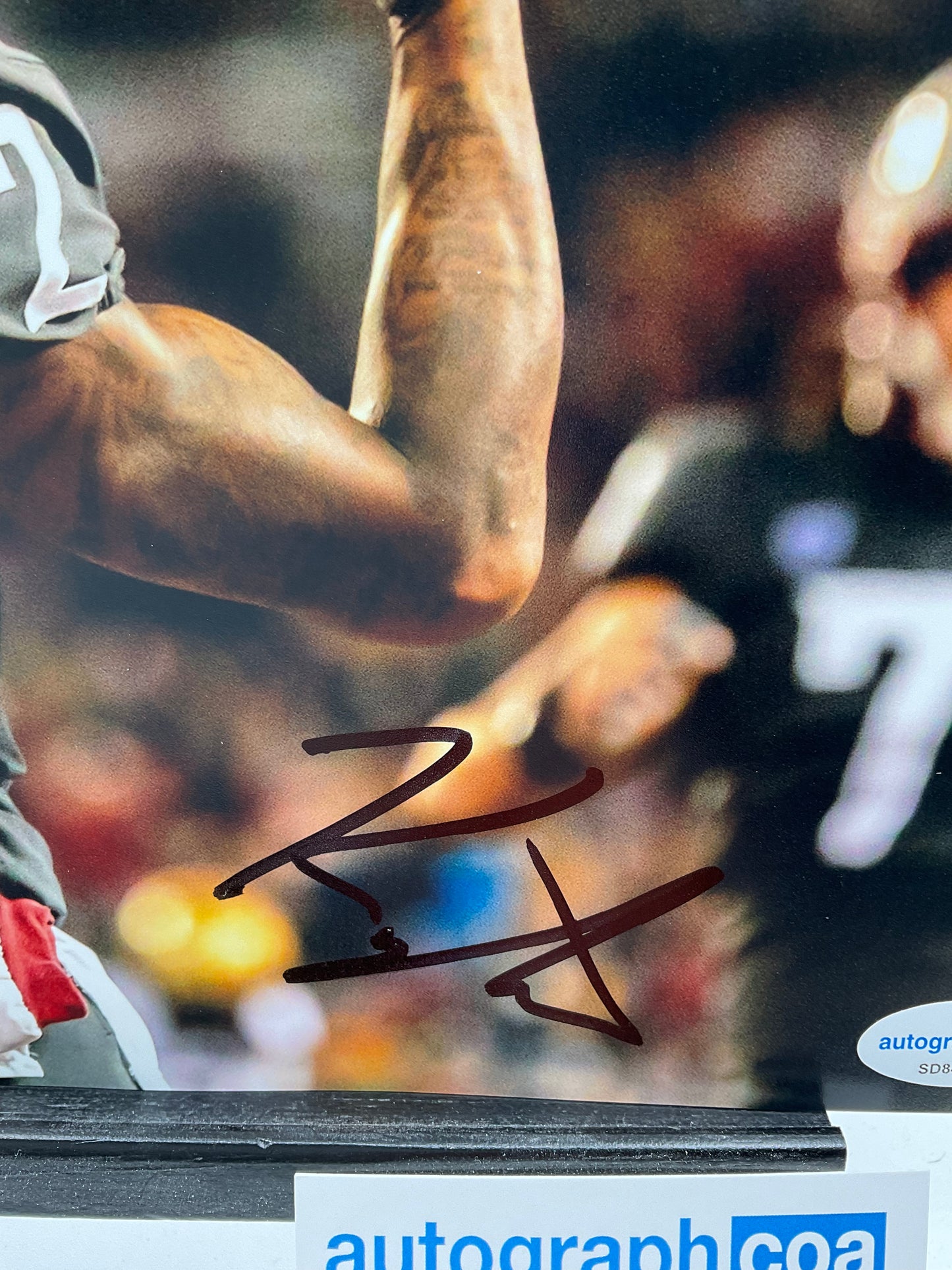 Kyle Williams Washington St Cougars signed photo 8x10 ACOA New England Patriots