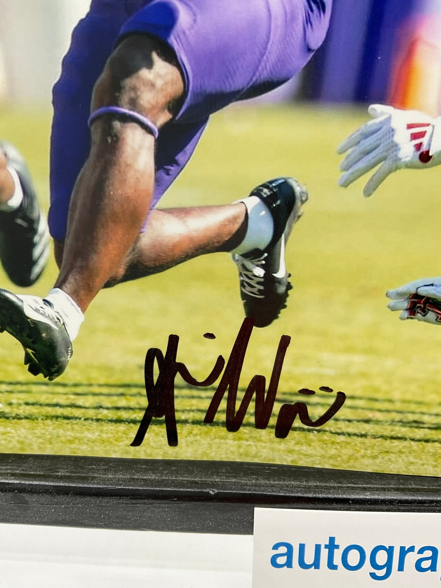 Savion Williams TCU signed photo 8x10 ACOA Green Bay Packers