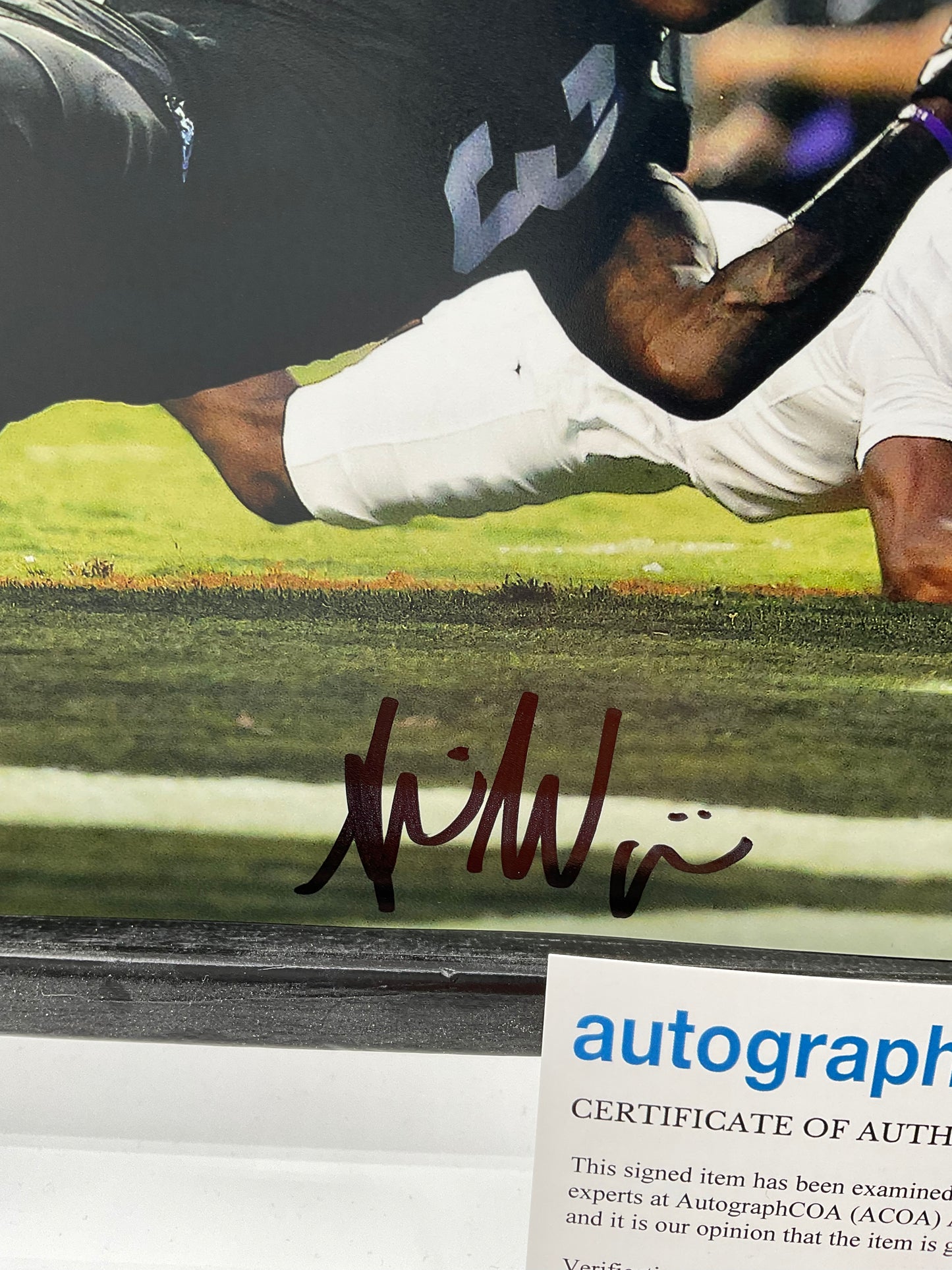 Savion Williams TCU Horned Frogs signed photo 8x10 ACOA Green Bay Packers