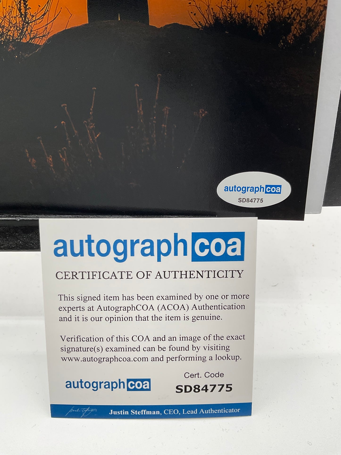 Thee Sacred Souls signed photo 8x10 ACOA Band Signed