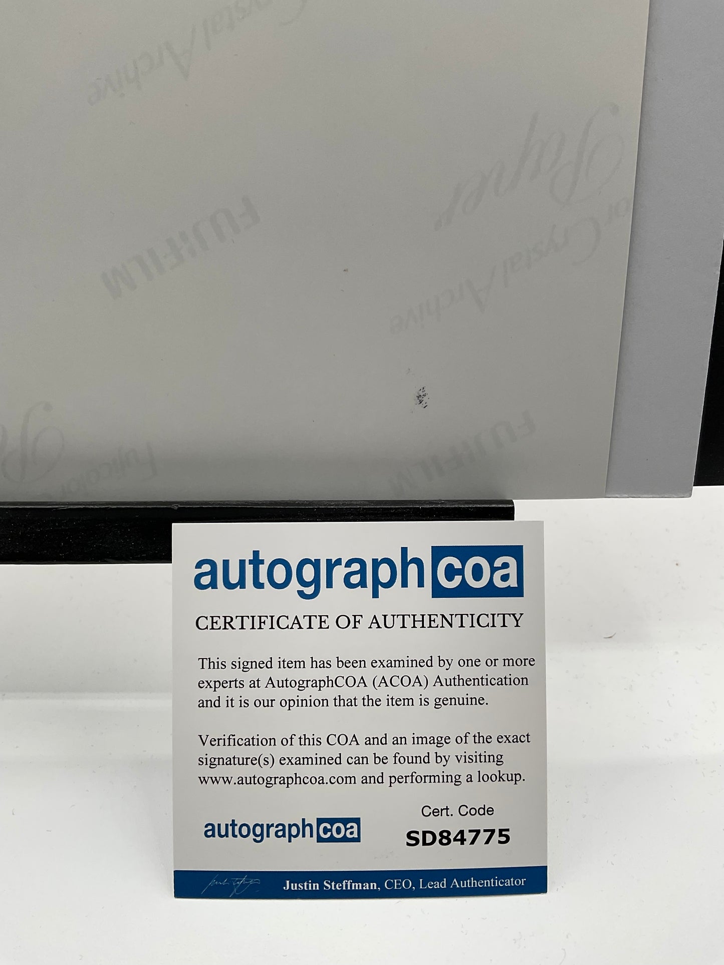 Thee Sacred Souls signed photo 8x10 ACOA Band Signed