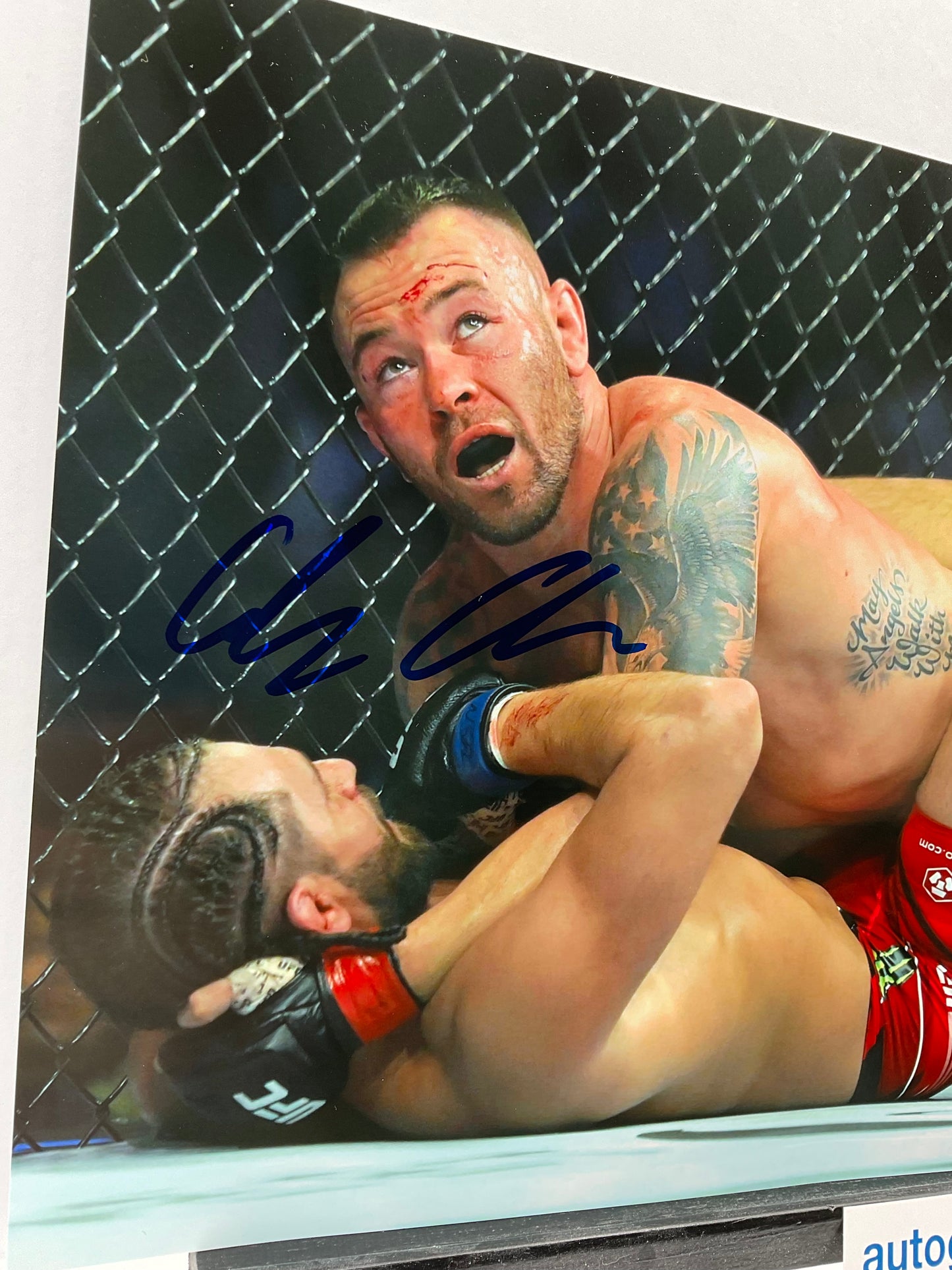 Colby Covington UFC signed photo 8x10 ACOA MMA Chaos