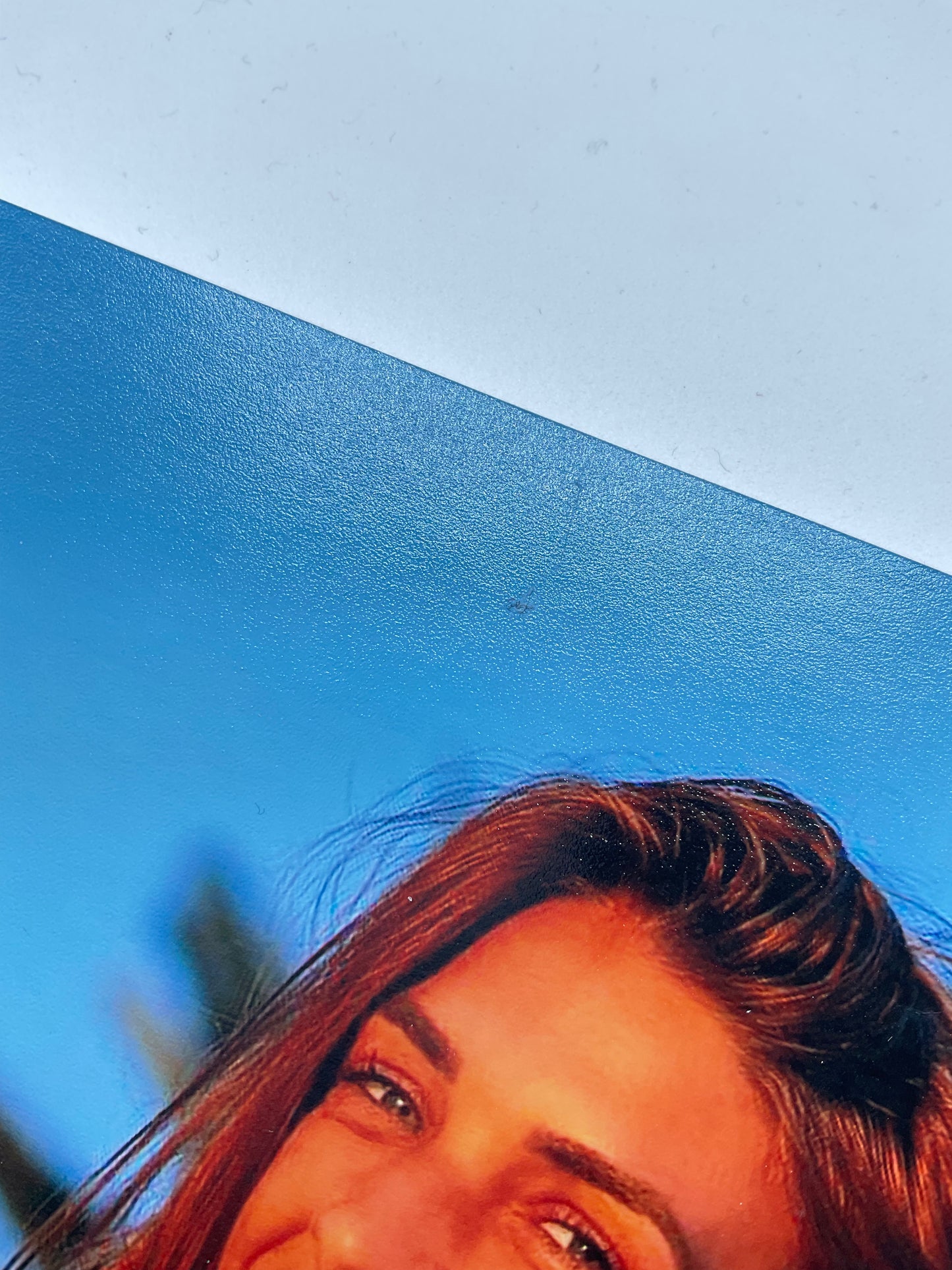 Mackenzie Dern signed photo 8x10 ACOA Sexy UFC