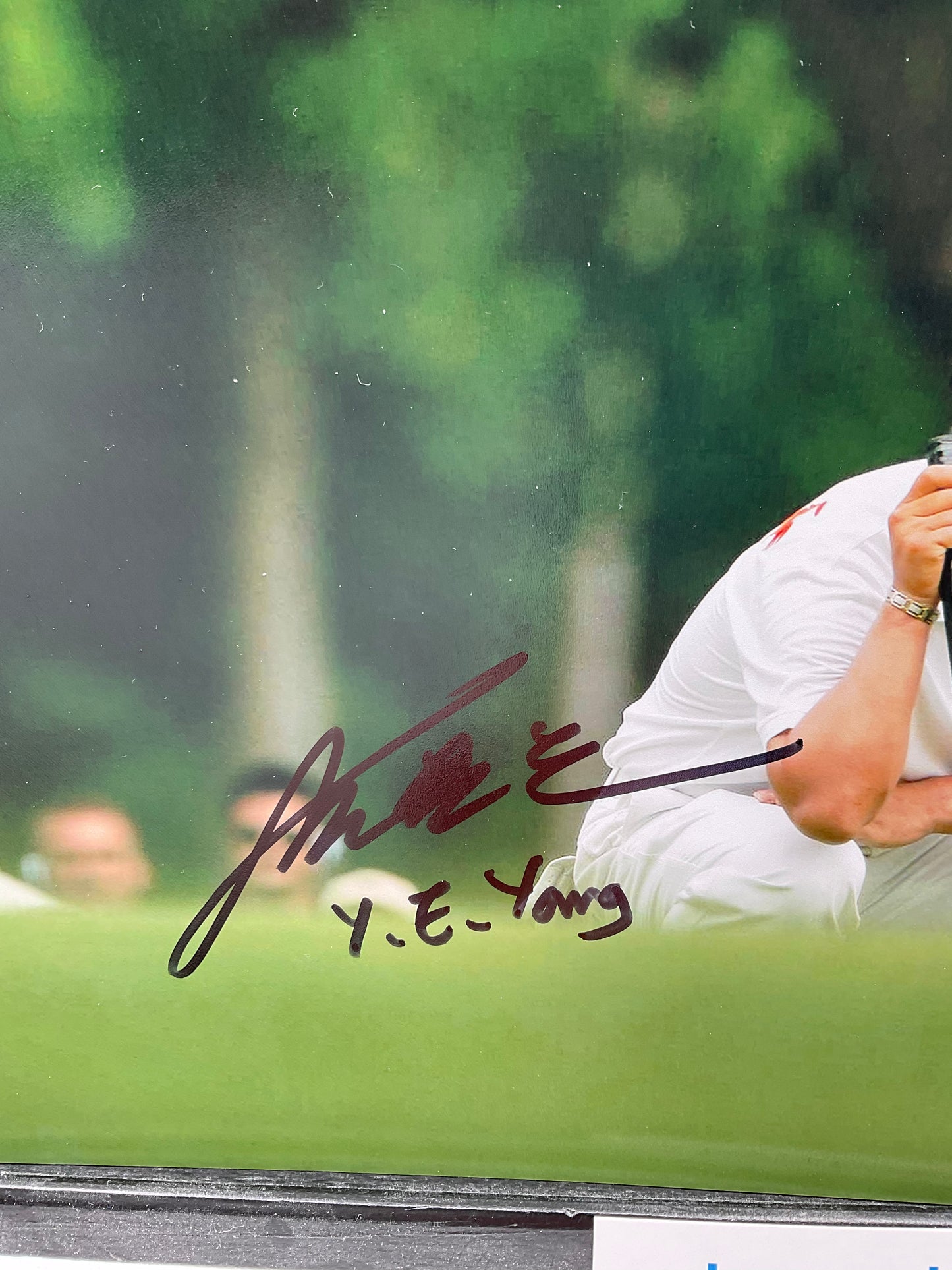 YE Yang PGA Championship signed photo 8x10 ACOA Golf