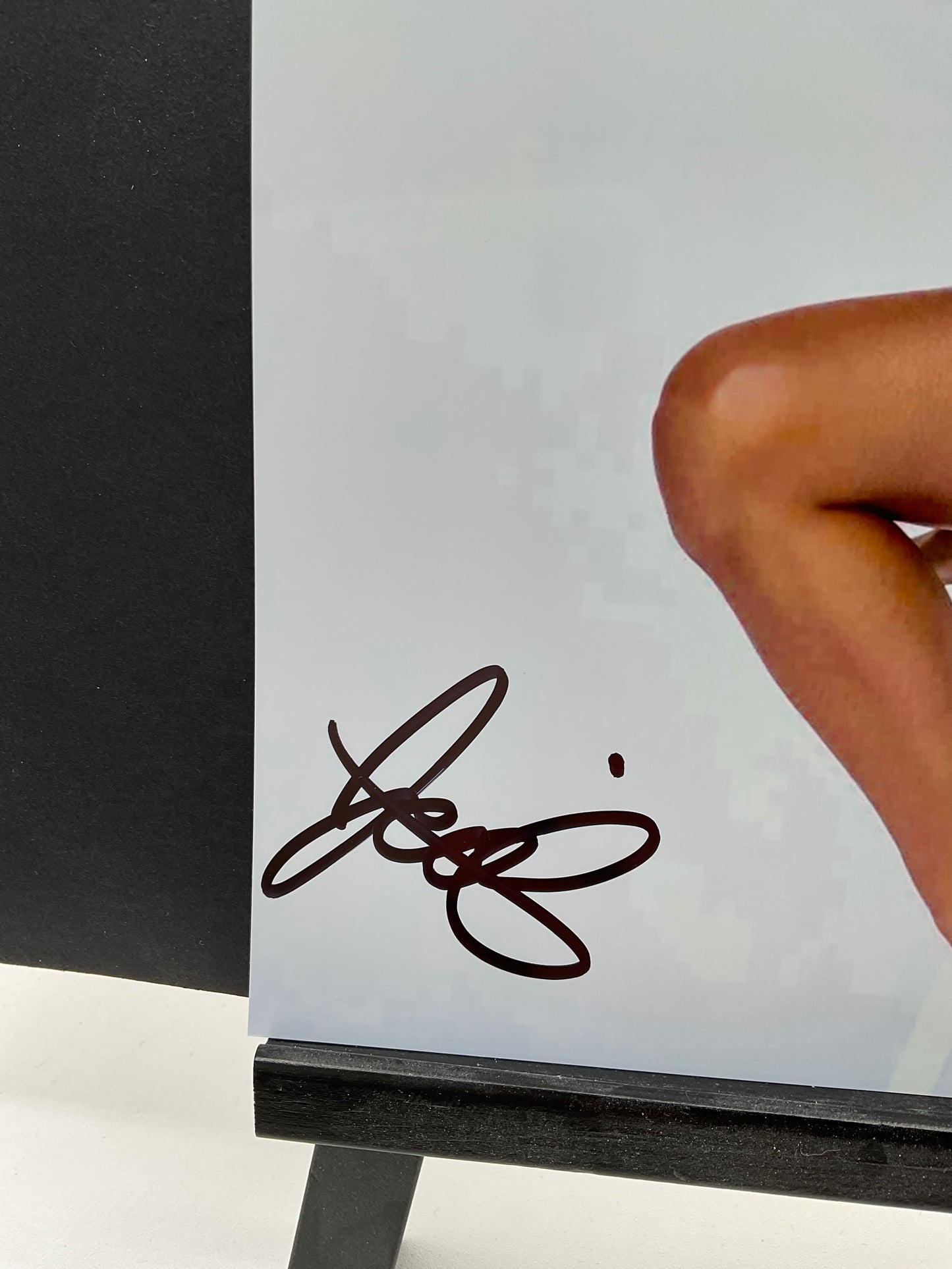 Josie Canseco Sexy signed photo 8x10 ACOA